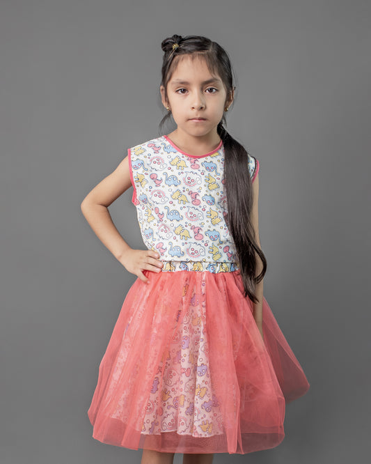 Conjunto top y tutu